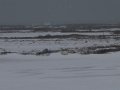 IMG_8067