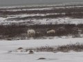 IMG_8075