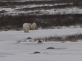 IMG_8076