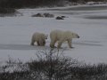 IMG_8078