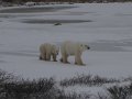 IMG_8079