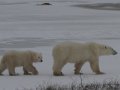 IMG_8080
