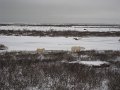IMG_8084