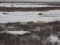 IMG_8085