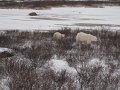 IMG_8086