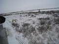 IMG_8087