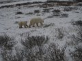 IMG_8088