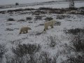 IMG_8089