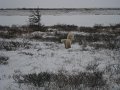 IMG_8092
