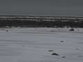 IMG_8095