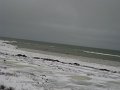 IMG_8098