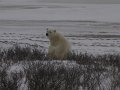 IMG_8099