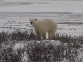 IMG_8101