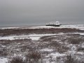 IMG_8106