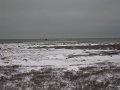 IMG_8107