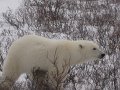 IMG_8115
