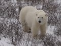 IMG_8120