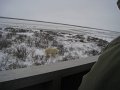 IMG_8127