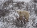 IMG_8128