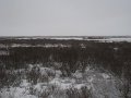 IMG_8134