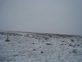 IMG_8135