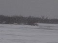 IMG_8137