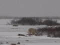 IMG_8143