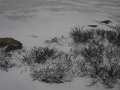 IMG_8148