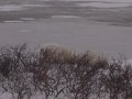 IMG_8155
