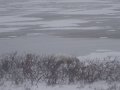 IMG_8177