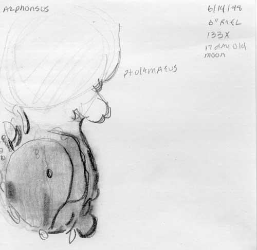 Alphonsus sketch