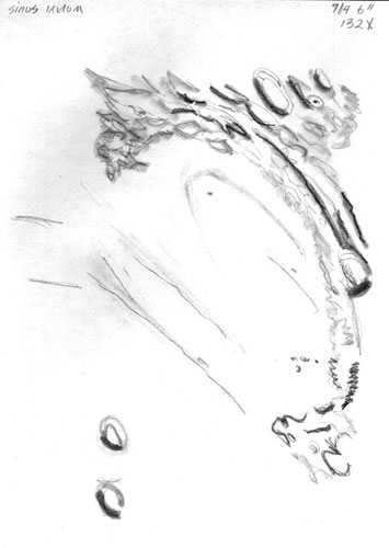 Sinus Iridum sketch