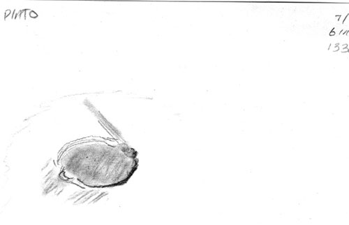 Plato sketch